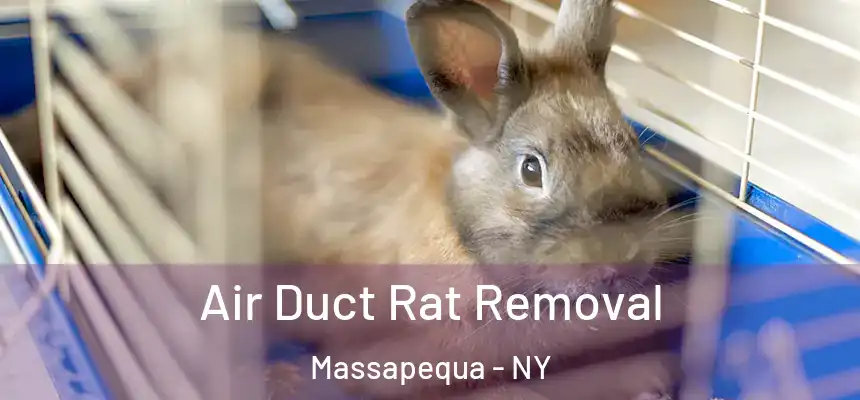 Air Duct Rat Removal Massapequa - NY