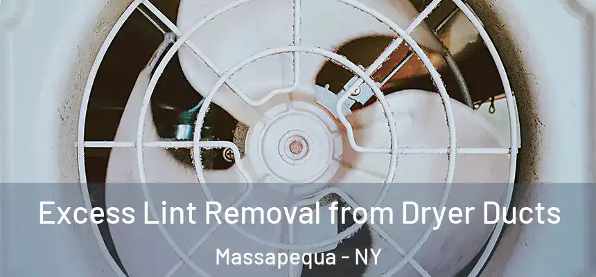 Excess Lint Removal from Dryer Ducts Massapequa - NY