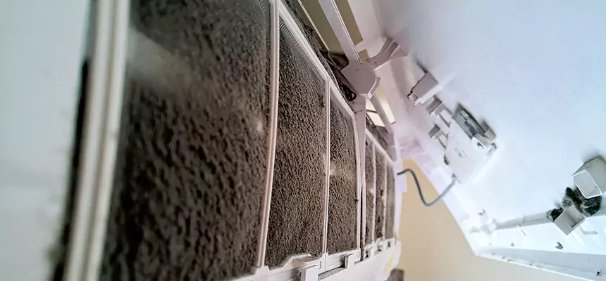 Preventive Air Duct Bacteria Removal in Massapequa