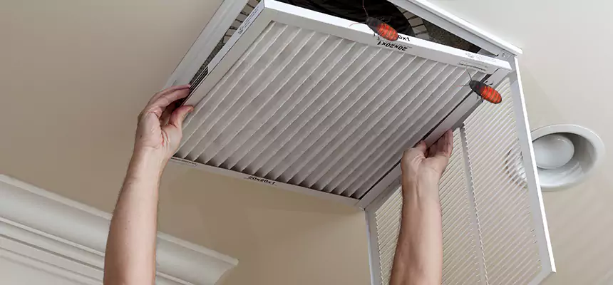 Preventive Cockroach-Proofing for Ducts in Massapequa