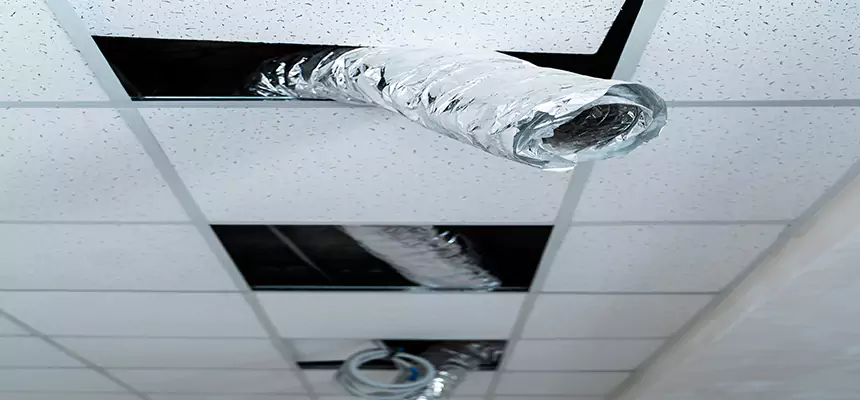 Affordable HVAC Sanitizing After Pest Removal in Massapequa