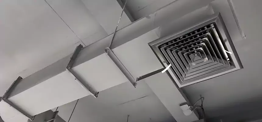 Our Pest Removal From Ducts Services in Massapequa, NY