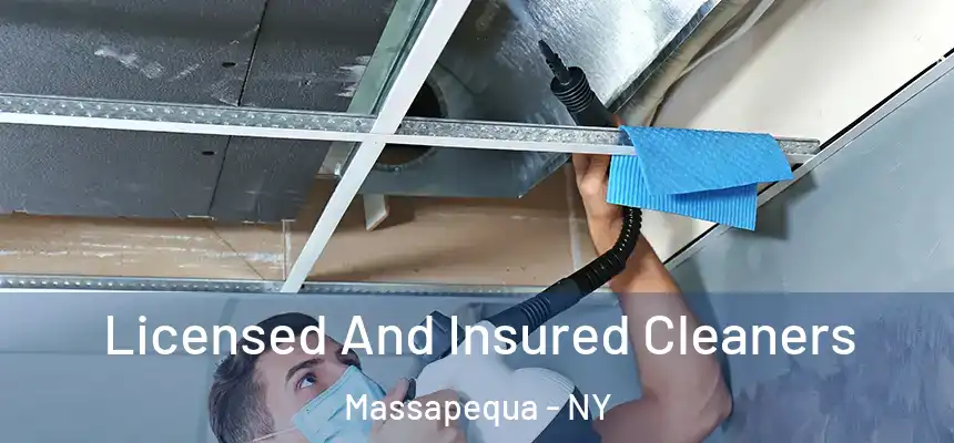 Licensed And Insured Cleaners Massapequa - NY