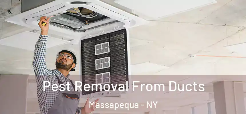 Pest Removal From Ducts Massapequa - NY