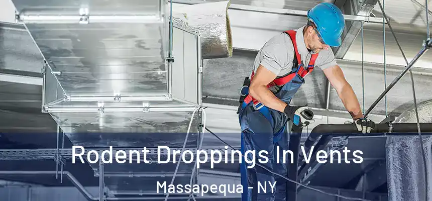 Rodent Droppings In Vents Massapequa - NY
