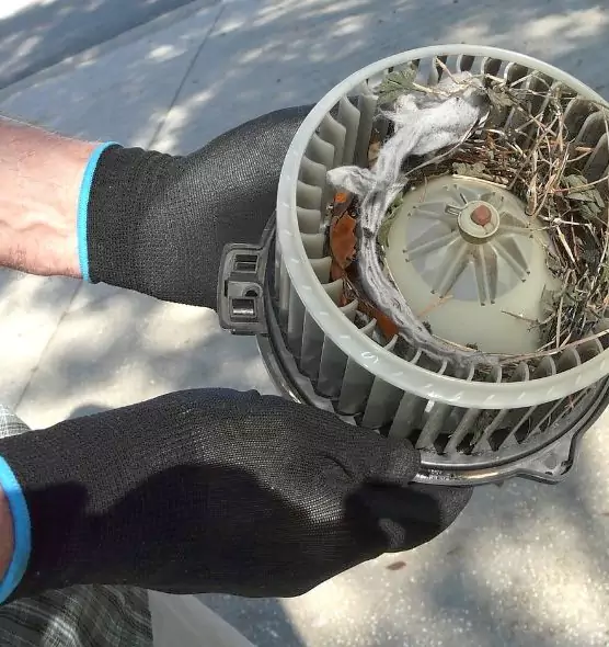 About Air Duct Rat Removal in Massapequa, NY