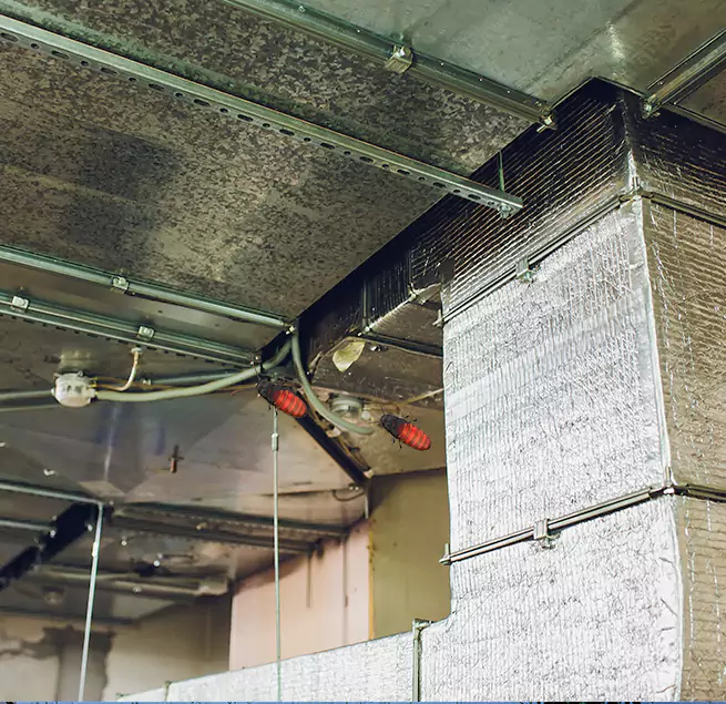 Why Homeowners & Businesses Trust Us in Massapequa, NY?