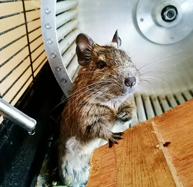 Why Homeowners & Businesses Trust Us Massapequa, NY