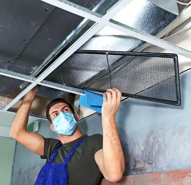 Why Homeowners Businesses Trust Us in Massapequa, NY